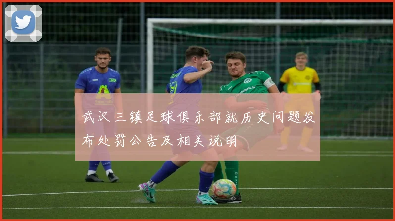 武汉三镇足球俱乐部就历史问题发布处罚公告及相关说明