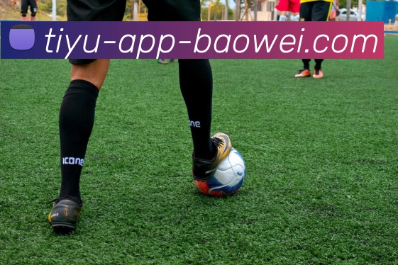 宝威体育APP 高清赛事图